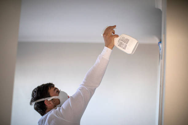 Best Kitchen Mold Remediation in Vincent, CA